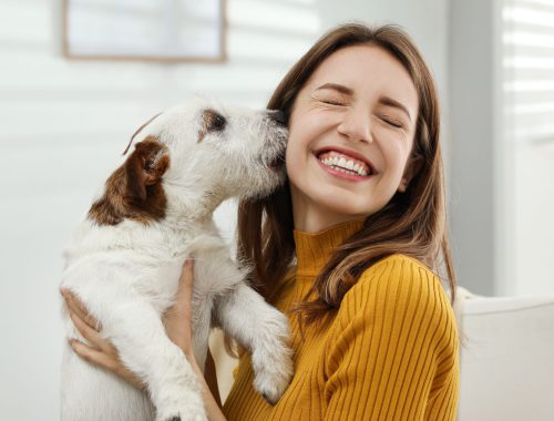 one-health-animales-rec