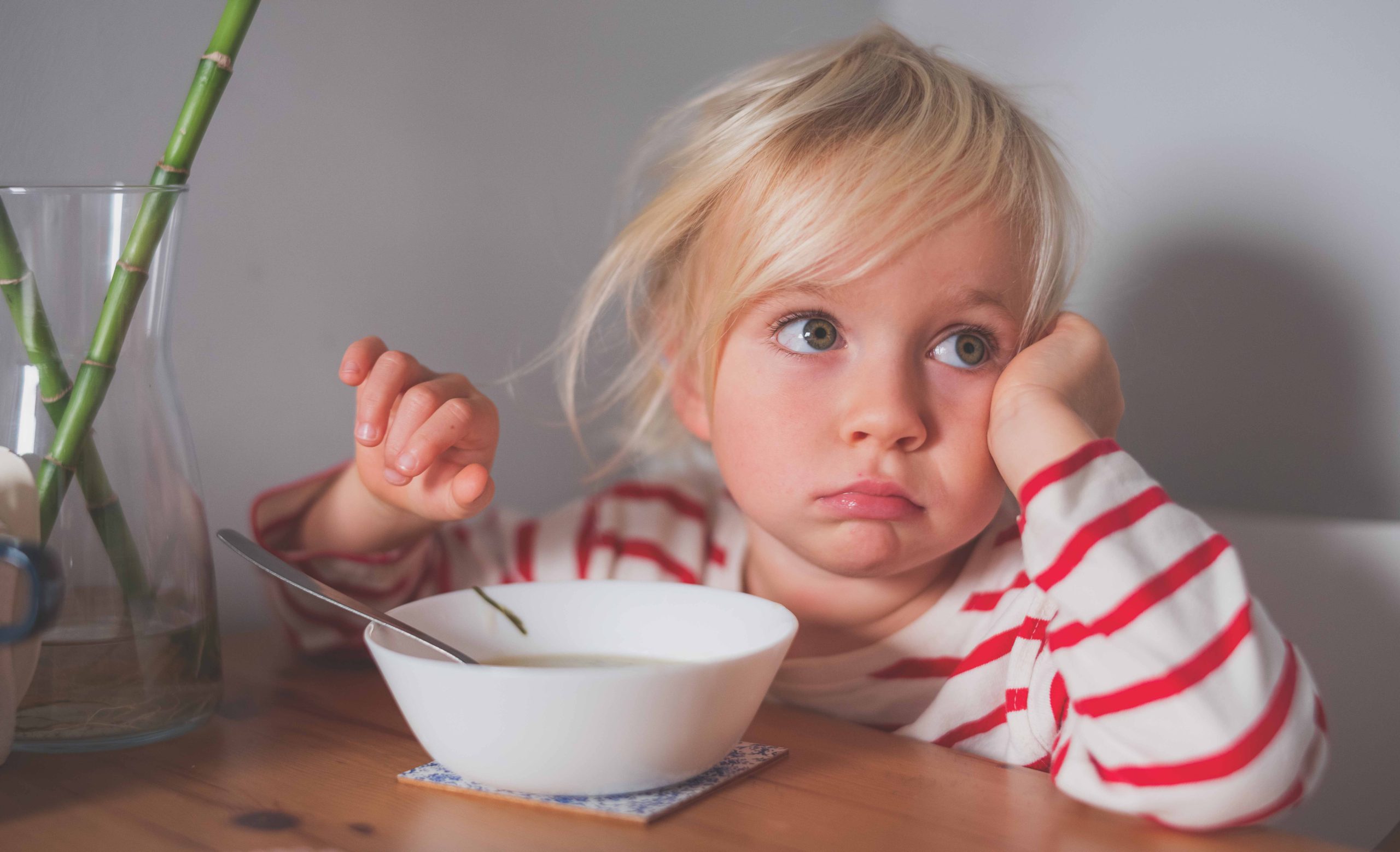 alimentacion-niños-autismo_BLOGHLA_2