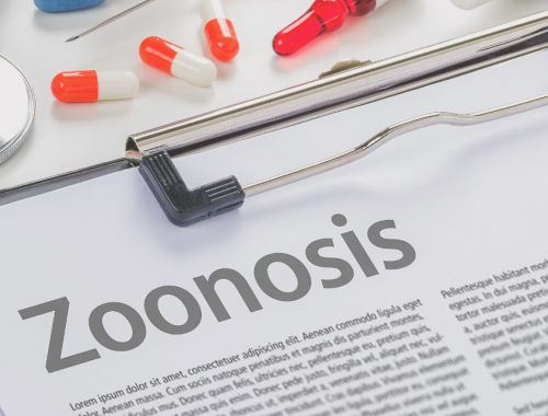 zoonosis-comunes-españa