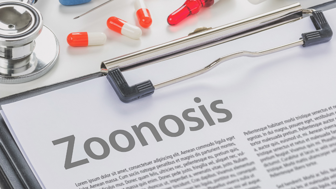 zoonosis-comunes-españa